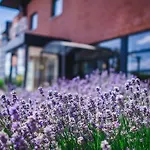 Hotel Dc Charleroi Airport Gosselies